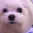 나우 동물병원 이미지