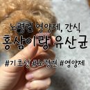 몸에좋은홍삼 | 노령견 피부 영양제, 홍삼이랑 유산균 오메가3 급여 후기