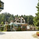 그림같은펜션 민박 이미지