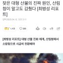 잦은 대형 산불의 진짜 원인, 산림청이 알고도 감췄다 이미지