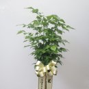 길음농장 이미지