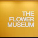 장천 꽃 박물관 이미지