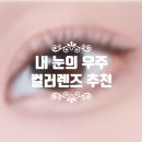 인 앤 아웃 안경,콘택트 | New 인생 컬러렌즈 '뜨레뷰 스카치브라운' 다비치안경 남양주점에서 구입 후기