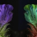 눈으로보는세상 이미지