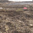 부호부동산공인중개사사무소 이미지