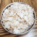 방가보리밥 이미지