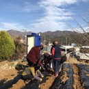 선동농장 이미지