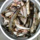 매운탕거리 이미지