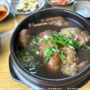 심마니네 약초백숙 이미지