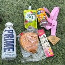 양천 | 제15회 양천 마라톤 후기, 첫 하프 마라톤 후기