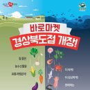 디자인바로 브런치
