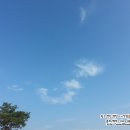 양평카 이미지