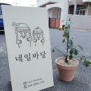 네일바당 이미지