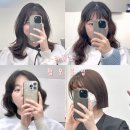 둥이네살롱 네이버블로그