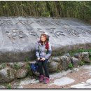 무릉계곡 1호 이미지