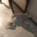 타카독스 커피 이미지