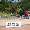 발이봉길 이미지