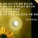 단물
