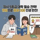 대학애견용품 | 정시 5등급 대학 선택 전략, 편입으로 문과·이과 길 찾는 법