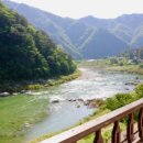 고사리 쉼터 이미지