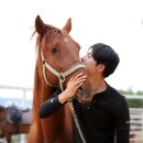 비슬 승마체험장 이미지