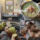 요거트갈매기 맛집일까? 마곡역 고기집 탄천갈매기 마곡본점 솔직후기