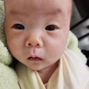 버드래미 이미지