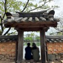 자연과함께 | 밀양 위양지 산책 후기 자연과 함께 걷는 힐링 여행지