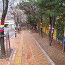 대일초등학교 이미지