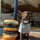 버거15(Burger15) | 제주 키코버거(KIKO BURGER) 후기 : 강아지와 편하게 다녀왔어요(중대형견 실내동반가능)