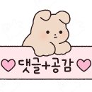 엘세븐헤어(신촌연대점)
