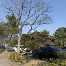 소죽도공원 | 부산근교 창원 진해 피크닉 장소 추천, 소죽도공원 감성 바다뷰 힐링 스팟