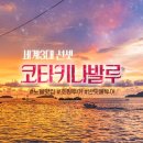 (주)신비투어