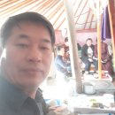 타드