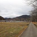 반월들길 이미지