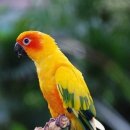 보리&보리 이미지