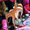 화태바다 이미지