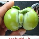 풍기파출소 이미지