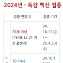 2024년 독감 백신 접종 일정 이미지