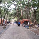 10월 정기산행 : 과천 서울대공원 캠핑장 트레킹 (10월 04일) 이미지