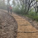 녹고뫼민박 | [제주여행] 1시간 코스 궷물오름