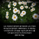 샬롬 - 양산시 평산6길 25 | 샬롬