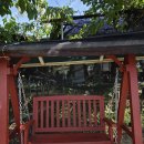 🫐 원주 '누구네 오디농장'｜6월 오디·산딸기·앵두 체험 후기