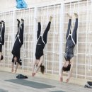 메디칼요가 네이버블로그