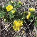 약초이야기 이미지