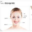 마이미의원