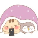 새우매니아