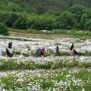 명성화원 이미지