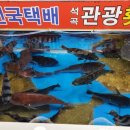 석곡관광횟집