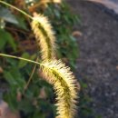 남양여인숙 이미지